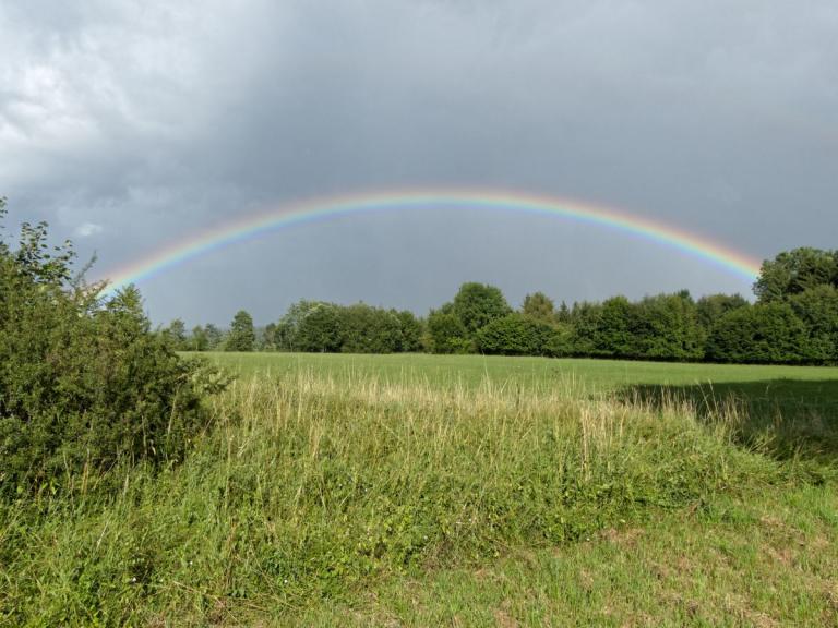 Regenbogen bei Lauingen