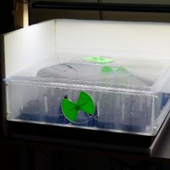 Zwei kleine Vitopods nebeneinander