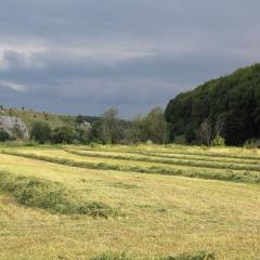 Eselsburger Tal